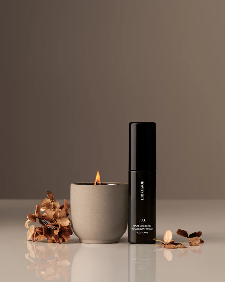 HOMECOURT MINI AIRCARE DUO