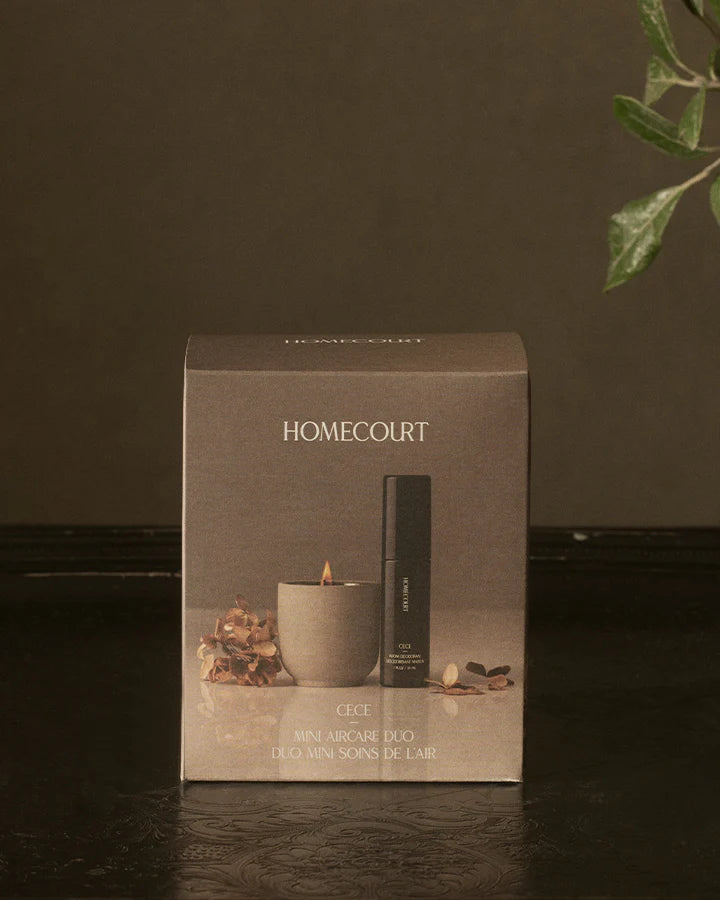 HOMECOURT MINI AIRCARE DUO