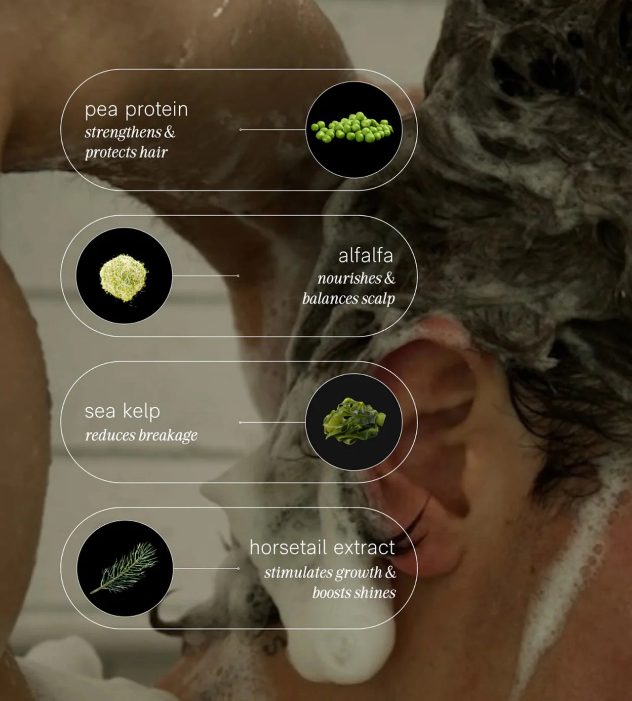 JACK HENRY SHAMPOO - HINOKI CYPRESS