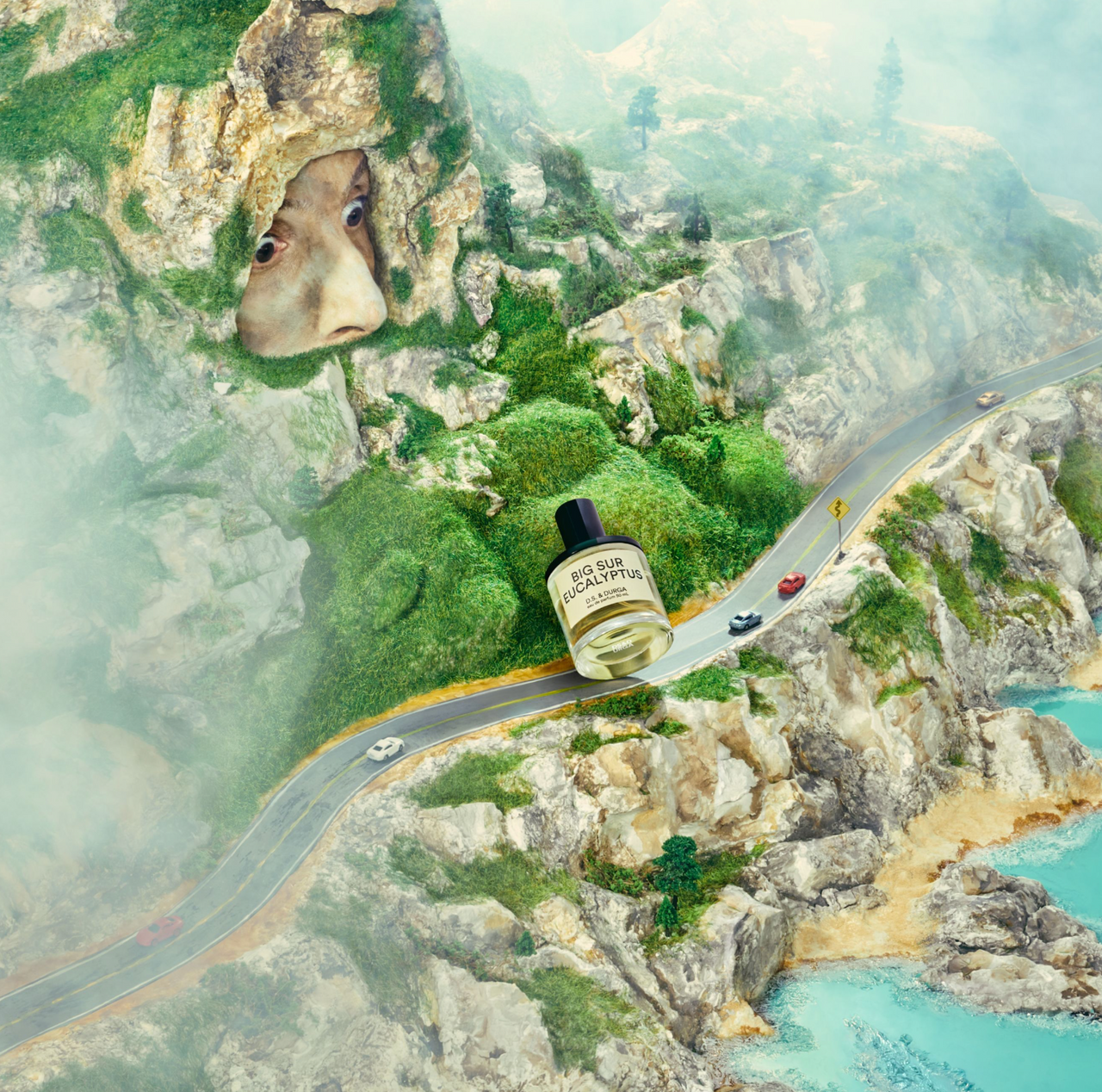 D.S. & DURGA BIG SUR EUCALYPTUS - 50ML